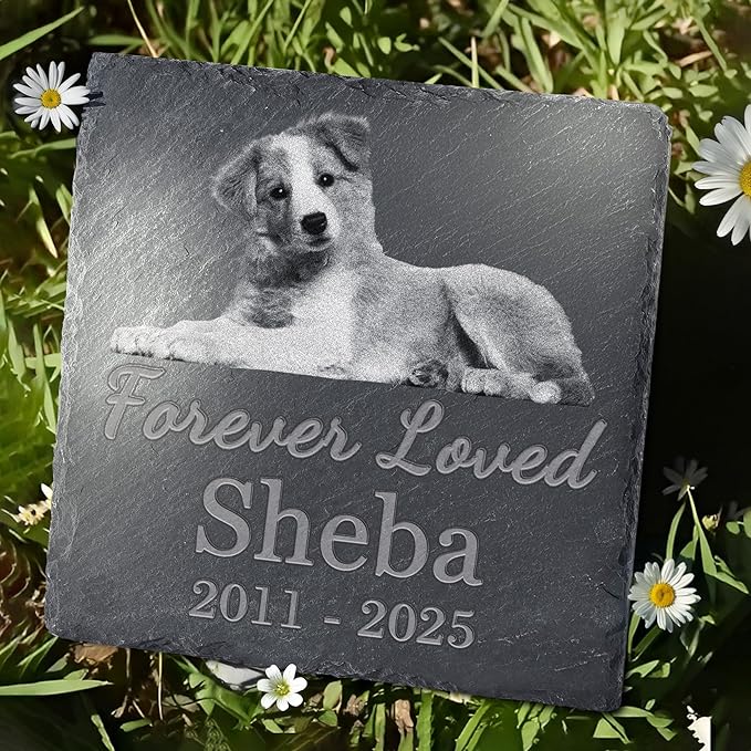 Pet Memorial Stone, Dog Memorial Stone, Dog Memorial Gifts for Loss of Dog, Pet Memorial Gifts, Loss of Pet Sympathy Gift, in Loving Memory Pet - Forever Loved - Square