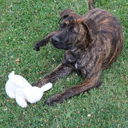 SPOT 6in Vermont Style Fleece Rabbit Dog Toy – Soft Comfort Plushie for Small Dogs & Puppies – Built-in Squeaker – Safe for Light Chewers – No Plastic Parts – Calming & Cuddly Pet Toy