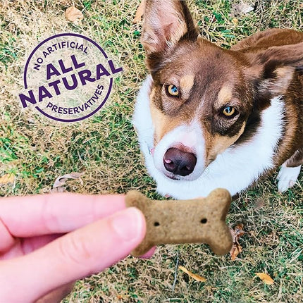 Old Mother Hubbard Wellness Original Mix Dog Biscuits, Natural, Training Treats, Four Flavors, Small Size, (20 Ounce Bag)