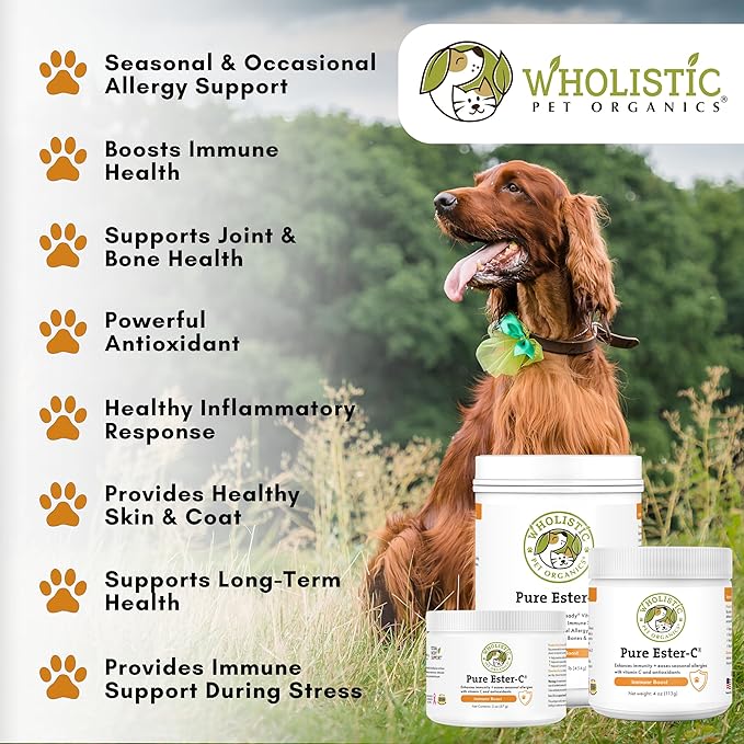Wholistic Pet Organics Pure Ester-C Powder for Dogs - 1 Lb - Healthy Alternative to Dog Allergy Chews - Vitamin C Supplement for Dog Allergy Relief, Immune Support, Itch Relief for Dogs - Made in USA