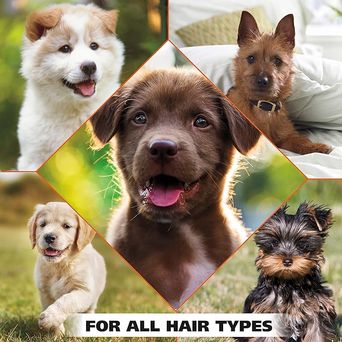 Wahl USA Gentle Puppy Shampoo for Pets – Cornflower Scent for Grooming Dirty Dogs - 24 Oz - Model 820002A