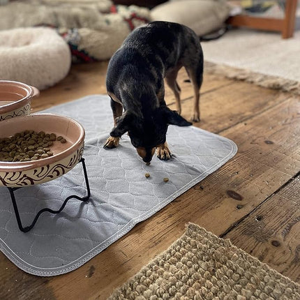 rocket & rex Premium Washable Pee Pads for Dogs, Waterproof & Reusable Puppy Pads for Potty Training, Whelping, Lining Crates & More, Guaranteed for up to 300 Washes, 22" x 22" (Pack of 2)