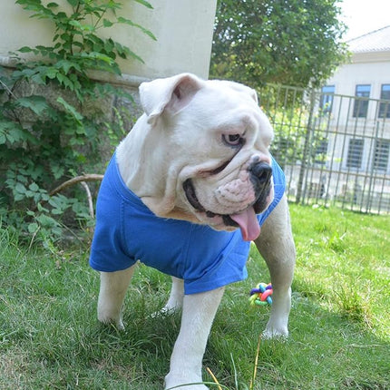 Lovelonglong Bulldog Clothes Dog Clothing Blank T-Shirt Tee Shirts for French Bulldog English Bulldog American Pit Bull Pugs 100% Cotton Skin Care Blue B-XL