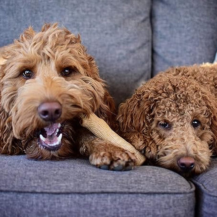 Petstages Dogwood Durable Dog Chew Toy, Large - Long Lasting Chew Stick Made with Real Wood - USA Made, L