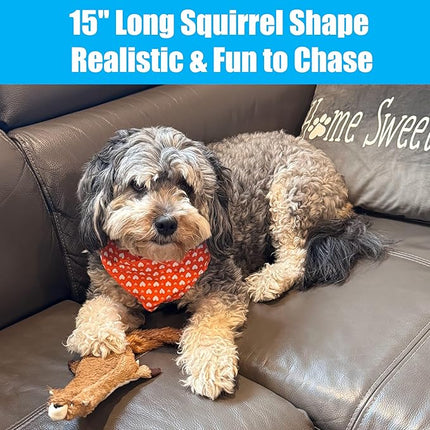 SPOT Skinneeez Plus Squirrel - Stuffing Free Dog Toy with Two Piece Rubber Body and Two Squeakers, Fun to Bite, Stuffingless Design is Great for Moderate Chewers, Tug Toy for Puppies & Dogs - 15in