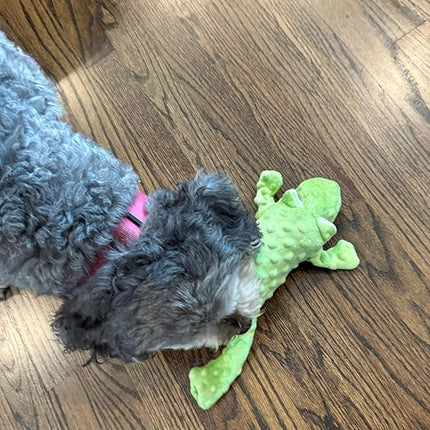 SPOT Skinneeez Extreme Stuffers Frog - Stuffing Free Dog Toy With Squeaker & Rip Stop Mesh Lining for Durability - Insert Plastic Bottle for Extra Crunch, For Small to Medium Puppies & Dogs - 14in