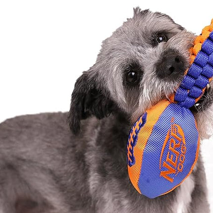 Nerf Dog Vortex Chain Tug Dog Toy with Squeaker Football Head, Lightweight, Durable, Water Resistant, 30 Inches, For Medium to Extra-Large Breeds, Single Unit (3474)