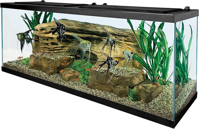 Tetra Glass Aquarium 55 Gallons, Rectangular Fish Tank (NV52018)
