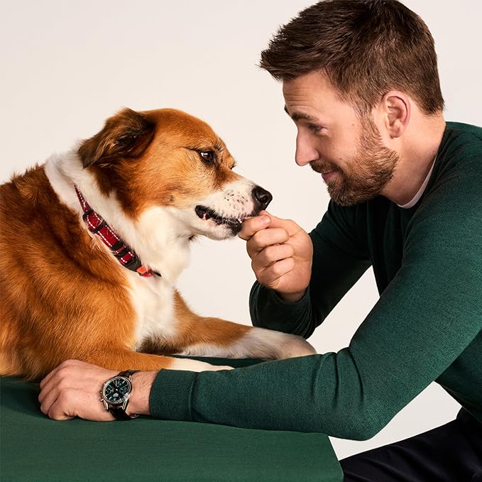 Jinx Beef Bites, Soft Jerky Dog Treats, Bite-Sized Snack, Low-Calorie and Packed with Flavor, Slow-Smoked Real Beef & Liver, No Fillers, 5oz, 6 Pack