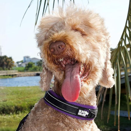 Black Rhino Extra Large Dog Collar - Adjustable Reflective Heavy Duty Wide Dog Collar with Ultra-Soft Neoprene Padding - Weatherproof, Durable, and Comfortable for Active Dogs - Purple and Black
