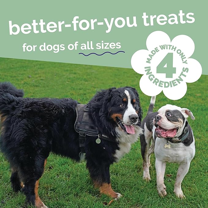 Fruitables Small Dog Treats – Whole Jerky Bites – Healthy Treats – Bacon & Apple Flavor – 5 Ounces