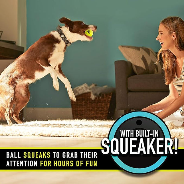 Franklin Pet Supply Co. Squeaky Dog Tennis Balls - Ready Set Fetch Dog Toy Tennis Balls with Squeaker - Perfect Pet Toy Fetch Ball for Small, Medium + Large Dogs - 3 Pack