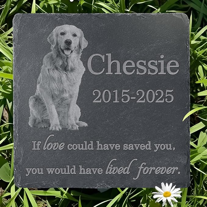 Pet Memorial Stone with Photo, Dog Memorial Gifts for Loss of Dog, Personalized Pet Memorial Gifts, Pet Loss Gift - Lived Forever（Square）
