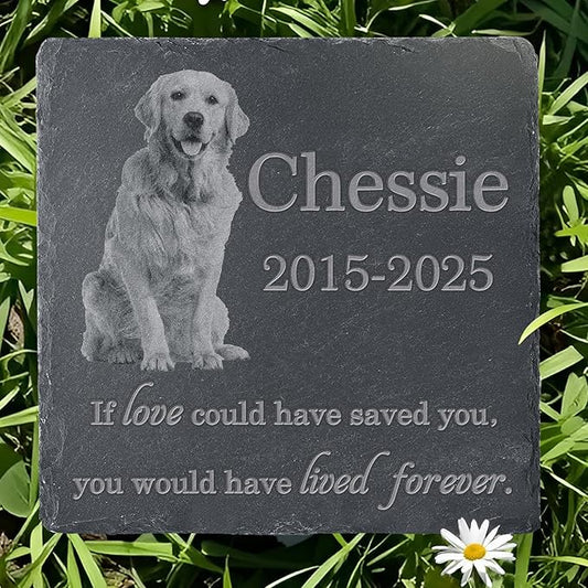 Pet Memorial Stone with Photo, Dog Memorial Gifts for Loss of Dog, Personalized Pet Memorial Gifts, Pet Loss Gift - Lived Forever（Square）