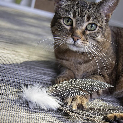 Petlinks HappyNip Zippy Zebra Feather Cat Toy, Contains Silvervine & Catnip - Black/White, One Size