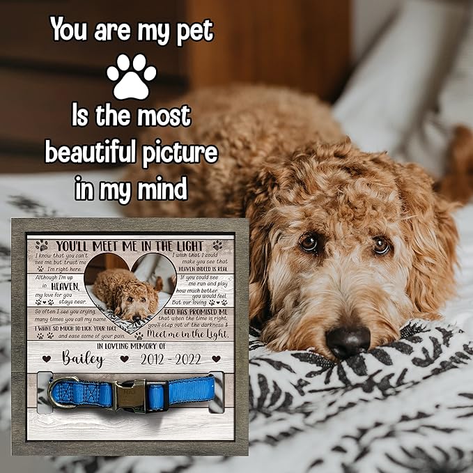 Personalized Pet Memorial Pet Loss Gifts Dog Picture Collar Frame Remembrance Dog In Heaven Memorial For Loss Of Cat Collar Frames Memory Boxes For Keepsakes Death Remembrance
