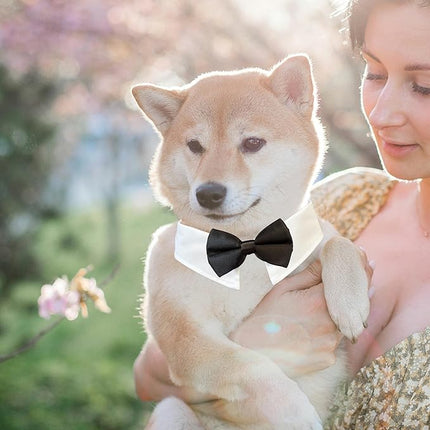 Dog Bowtie, KOOLMOX Tux Dog Collar for Weddings with Handcrafted Adjustable White Collar and Black Tie, Classic Neck Tie for Small to Medium Dogs Cats Puppies Valentine's Costumes