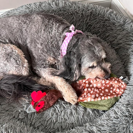 SPOT Skinneeez Crinklers Bird- Stuffing-Free Dog Toy with Crinkle and Squeaker Sounds, Durable Tug Toy for Moderate Chewers, Ideal for Medium and Large Dogs, Assorted Styles, 23 in