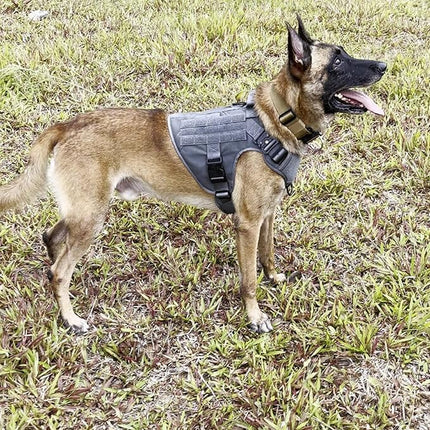ICEFANG Tactical Dog Harness, X-Large Size,2X Metal Buckle,Working Dog MOLLE Vest with Handle,No Pulling Front Leash Clip,Hook and Loop Panel (Grey,XL (Pack of 1))