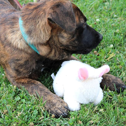 SPOT 6in Vermont Style Fleece Rabbit Dog Toy – Soft Comfort Plushie for Small Dogs & Puppies – Built-in Squeaker – Safe for Light Chewers – No Plastic Parts – Calming & Cuddly Pet Toy