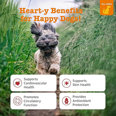 Zesty Paws Cardiovascular Support for Dogs - Taurine for Dogs - with CoQ10, L Carnitine & Sea Buckthorn - Senior Heart Health - AlaskOmega Fish Oil Omega 3 - Senior - Salmon - 90 Count