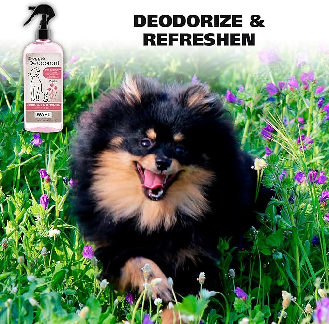 Wahl USA Cornflower Scented Pet Deodorant Spray for All Dogs & Cats – Clean Fresh Smell Refreshes & Deodorizes – 8 oz - Model 820009A