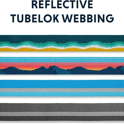 Ruffwear, Web Reaction Dog Collar, Escape-Proof Security Buckle, Adjustable Anti-Slip Martingale Collar with Durable Nylon Tubelok Webbing & Silent ID Attachment, Seafoam, 23"-26"