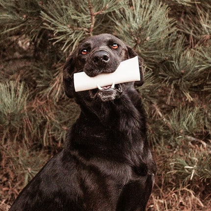 Best Bully Sticks 5-6 Inch Peanut Butter Filled Shin Bones for Dogs - 5 Count (Pack of 1) - Easily Digestible, Long-Lasting, Refillable Treat