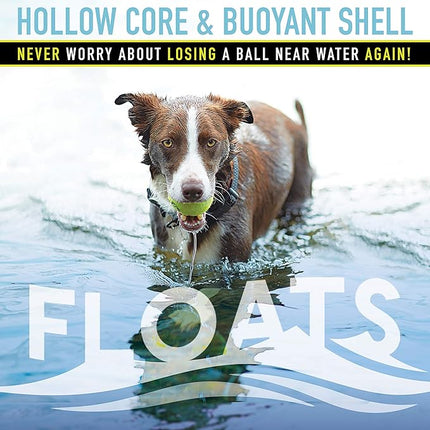 Franklin Pet Supply Co. Squeaky Dog Tennis Balls - Ready Set Fetch Dog Toy Tennis Balls with Squeaker - Perfect Pet Toy Fetch Ball for Small, Medium + Large Dogs - 3 Pack