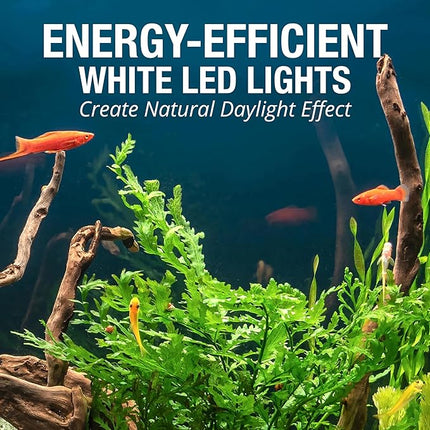Tetra Complete LED Aquarium Kit for Fish, 55 Gallons, Includes White LED Lights, Filter, Heater and Accessories
