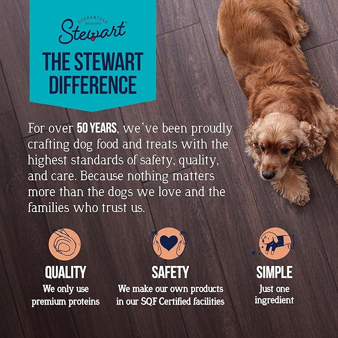 Stewart Single Ingredient Freeze Dried Raw Dog Treats, Wild Salmon, 9.5 Ounce, Approx. 190 Pieces per Resealable Tub, Training Treats or Meal Topper, High Protein, Grain Free, Gluten Free