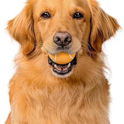 Playology Dog Toys | Squeaky Chew Ball - Bouncy Durable Floating Fetch Ball for Dogs | Medium Cheddar Cheese Scented Toy - Easy to Clean and Made from Non Toxic Materials