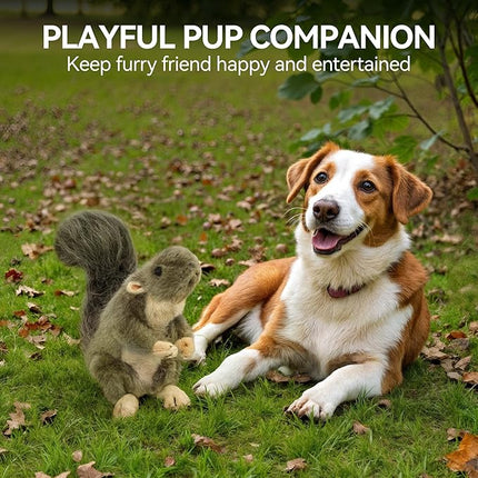 ALL FOR PAWS Interactive Dog Squirrel Plush Squeaky Toy - Perfect Puppy Enrichment Toy, Large