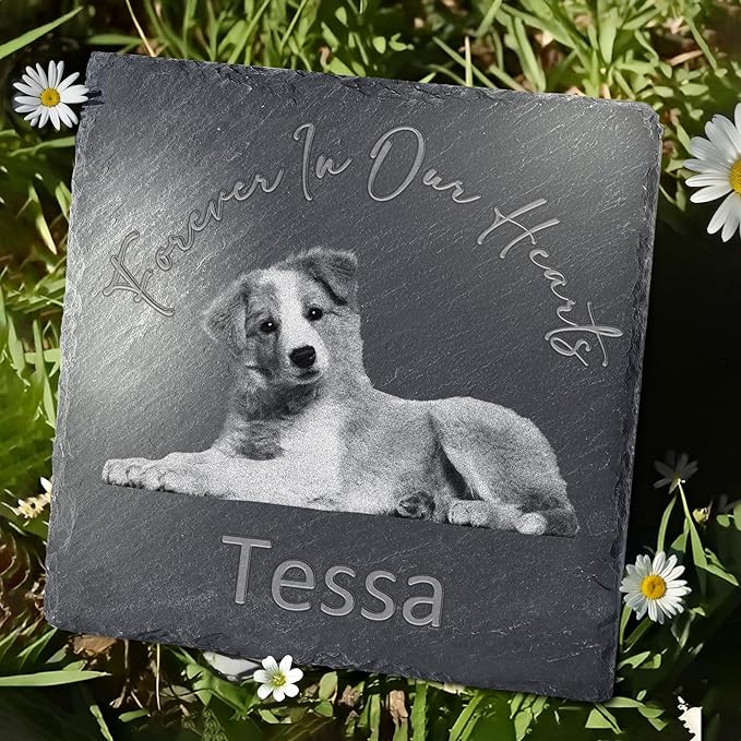 Pet Memorial Stone, Dog Memorial Stone, Dog Memorial Gifts for Loss of Dog, Pet Memorial Gifts, Loss of Pet Sympathy Gift, in Loving Memory Pet - Beloved Forever in Our Hearts - Square