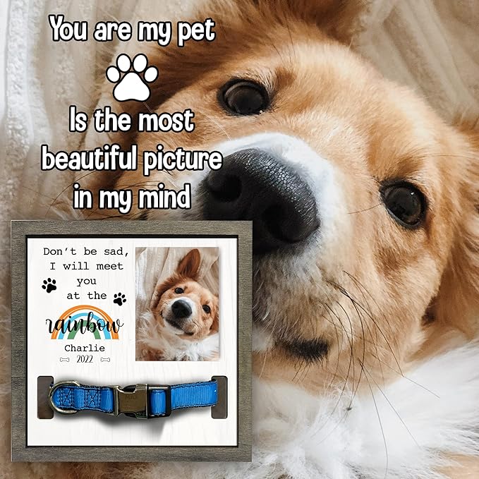 Customized Pet Collar Frame Pet Loss Gifts Rainbow Bridge Memorial Cremation Frame Remembrance Sign Heartfelt Gift Pet Keepsakes Ever Pet Personalized Pet Memorial Gifts Dog Frames Tabletop