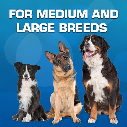 Nerf Dog Classic Squeak Ball Outdoor Dog Toy, 3.8 Inch Dog Ball Fetch Toy, Squeaking Toy for Medium and Large Breeds, Green/Red, 2 Count