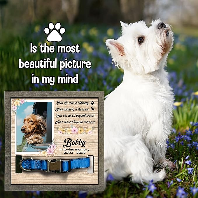 Memorial Gifts Customized Dog Picture Frame Dog Loss Sympathy Gift Personalized Dog Gifts Memorial Plaques Personalized for Pet Passed Cat Memorial Picture Frame Best Ever
