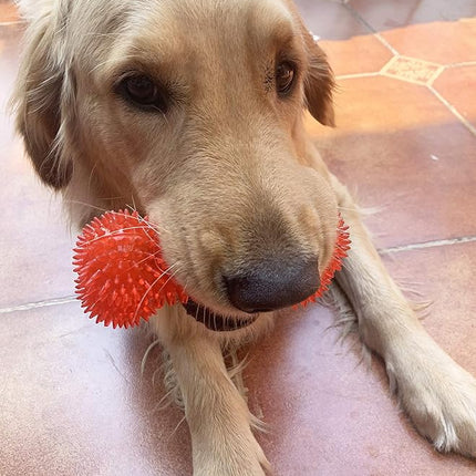 Jalousie Dog Squeaky Toys Value Set Non-Toxic Squeaky Balls Toss Fetch TPR Rubber Puppy Toys Spikey Dog Chew Toy for Small Medium Breed Pet Toys for Puppy (6 Pack Spiky Ball)