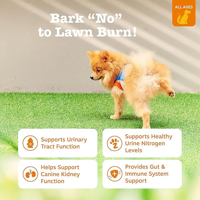 Zesty Paws Stay Green Bites for Dogs - Grass Burn Soft Chews for Lawn Spots Caused by Dog Urine - with Cranberry for Urinary Tract & Bladder - Chicken - 90 Count