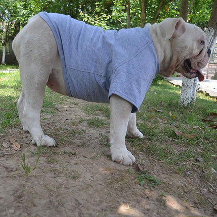 Lovelonglong Bulldog Clothes Dog Clothing Blank T-Shirt Tee Shirts for French Bulldog English Bulldog American Pit Bull Pugs 100% Cotton Skin Care Gray B-L