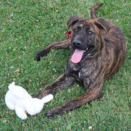 SPOT 6in Vermont Style Fleece Rabbit Dog Toy – Soft Comfort Plushie for Small Dogs & Puppies – Built-in Squeaker – Safe for Light Chewers – No Plastic Parts – Calming & Cuddly Pet Toy