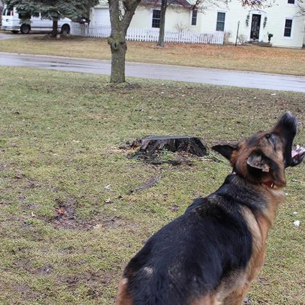 Jalousie Collapsible Dog Flirt Pole with Three Squeaky Toys Plush Toys Dog Teaser Wand Chase it Toy with Refills Upgraded Rope