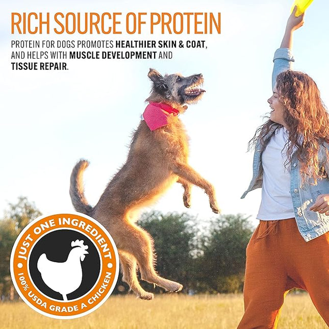 EBPP Chicken Jerky Dog Treats Made in USA - 100% Natural Jerky Treats Made with Real Chicken for Medium Dogs, Large and Small Dogs - 32oz Bag