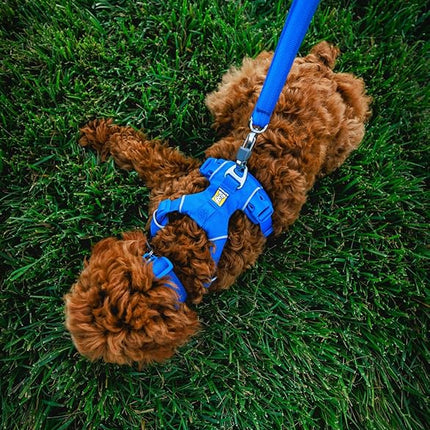 Ruffwear, Front Range Dog Collar, Adjustable Tubelok Webbing, Lightweight, Side Release Buckle, Aluminum V-Ring, Durable for Everyday Use, Blue Pool, 11"-14"