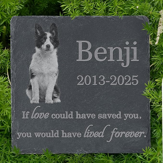 Personalized Pet Memorial Stone, Dog Memorial Gifts, Pet Loss Sympathy Gift, in Memory of Dog Cat - Lived Forever（Square）