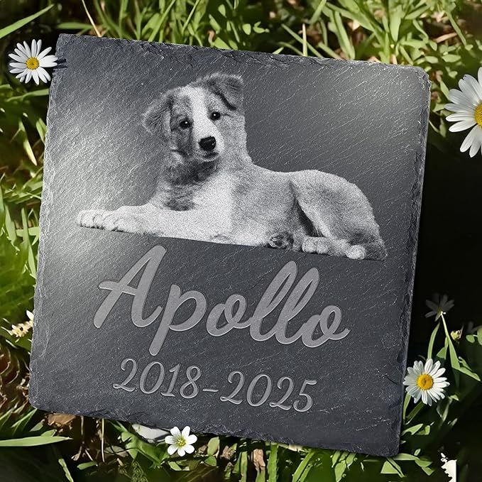 Pet Memorial Stone, Dog Memorial Stone, Dog Memorial Gifts for Loss of Dog, Pet Memorial Gifts, Loss of Pet Sympathy Gift, in Loving Memory Pet - Beloved Pet - Square