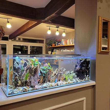 Lifegard Aquatics Bookshelf Aquarium – 22 Gallon Clear Glass Fish Tank with 8mm Thick Glass – for Freshwater/Marine, Leak-Proof, Home/Office Decor