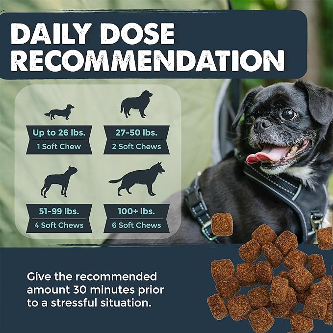 Mighty Paw Calming Chews for Dogs with Melatonin 2 Pack - Sleep Aid Waggables Calm (Made in USA) - Puppy & Large Dog Treats - Composure Dog Calming Chews for Stress & Relaxation, 240 Count