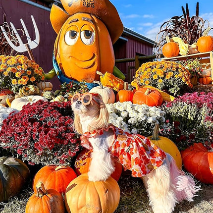 Fitwarm Maple Dog Dress, Ruffled Doggy Thanksgiving Dress, Fall Dog Clothes for Small Dogs Girl, Pet Outfit, Red, Orange, XXS