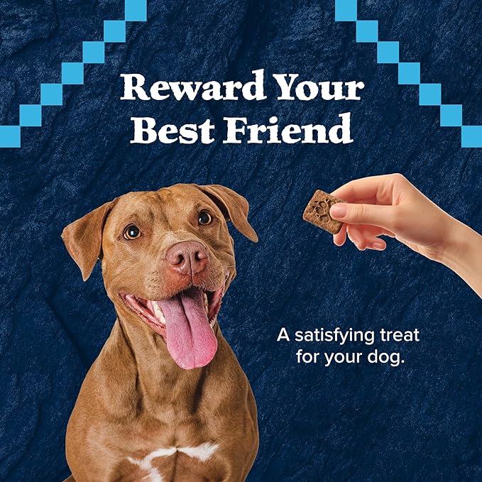 Blue Buffalo Wilderness Trail Treats High Protein Grain Free Crunchy Dog Treats Biscuits, Turkey Recipe 10-oz bag